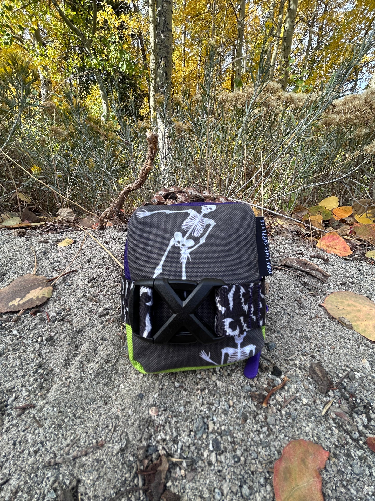 Itty Bitty Saddle Bag